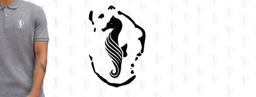 Bannière site Boutique Seahorse Mahoré 20
