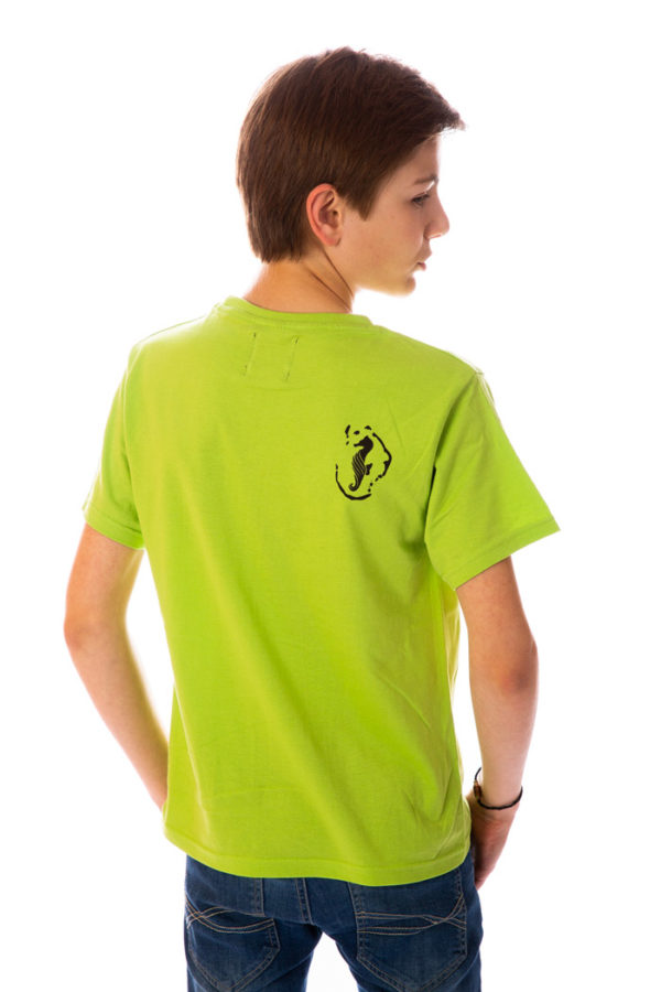 T-shirt Seahorse Mahoré